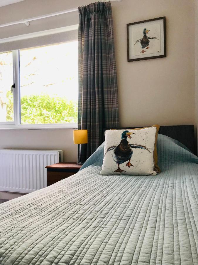 Eden Cottage Lisburn Ngoại thất bức ảnh